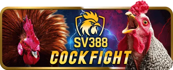 Hình ảnh chính sách cookie u888b